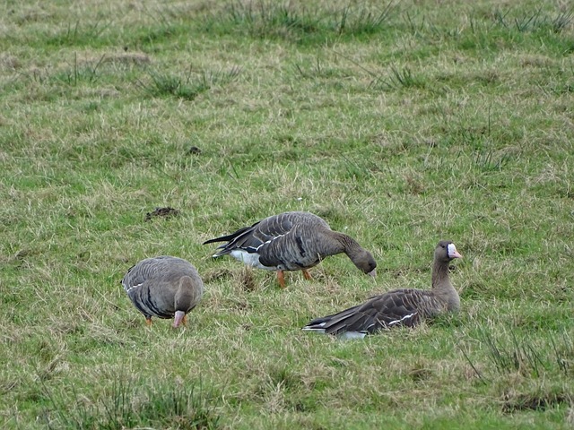 一站式液冷解决方案供应商